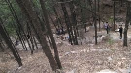 [无微]主播照片