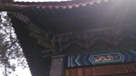 [无微]主播照片