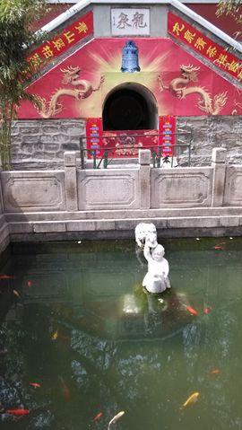 [无微]主播照片