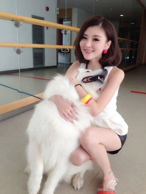 暖男守护主播的主播照片