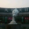 戒掉你i