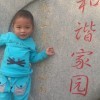 杨长发的头像