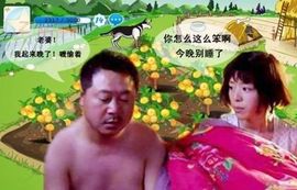 因为酷；撞倒树主播照片