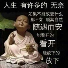 汇汇百战的图片