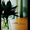 大叔花心