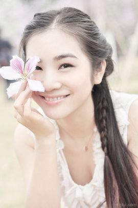 玫瑰花4113025主播照片