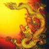 四海飞龙