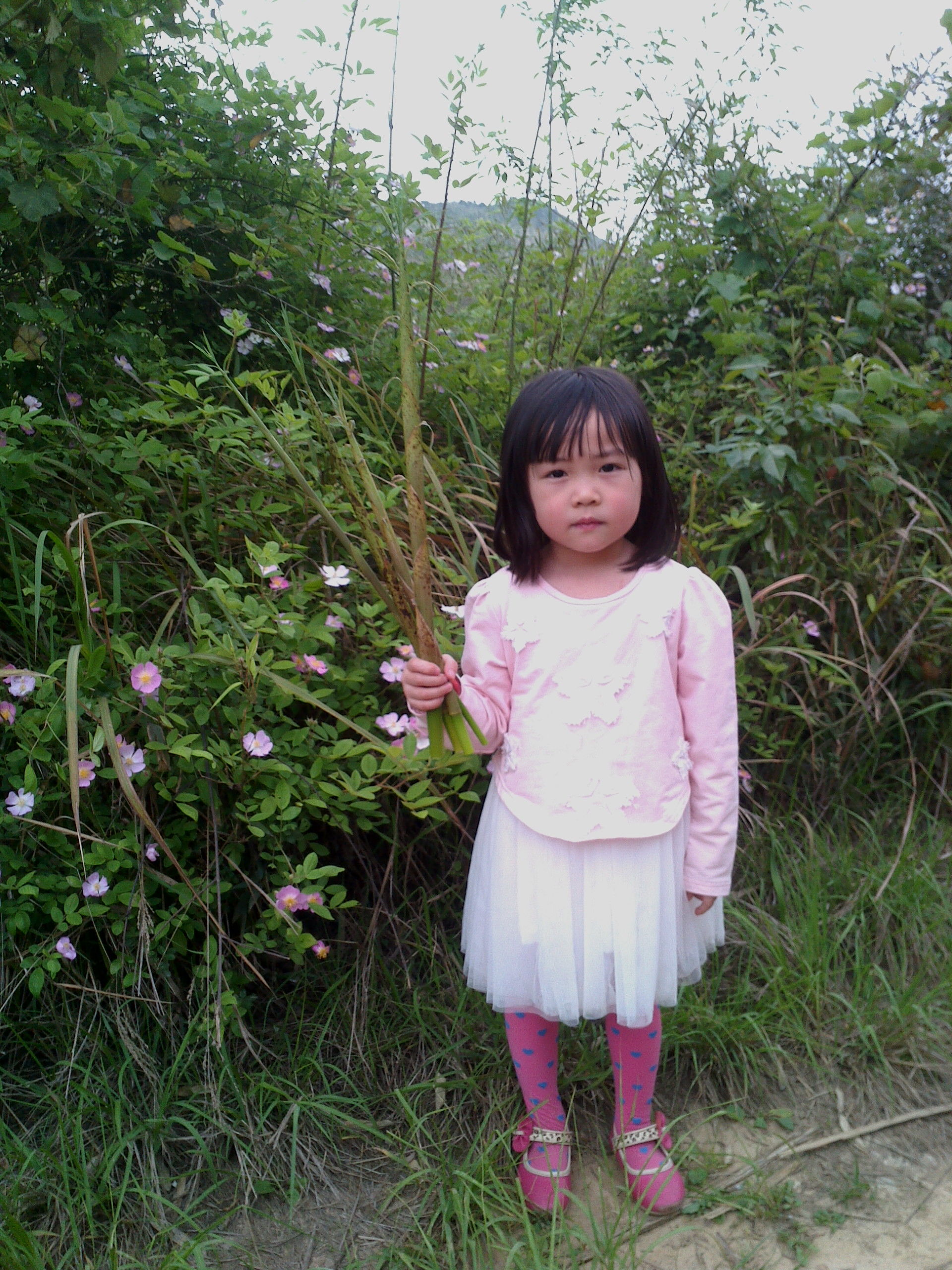 昵称违规，请重新修改的主播照片