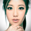 傲雪寒梅1r