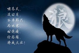 ♥$$♥主播照片