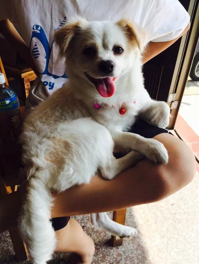 JN。的主播照片