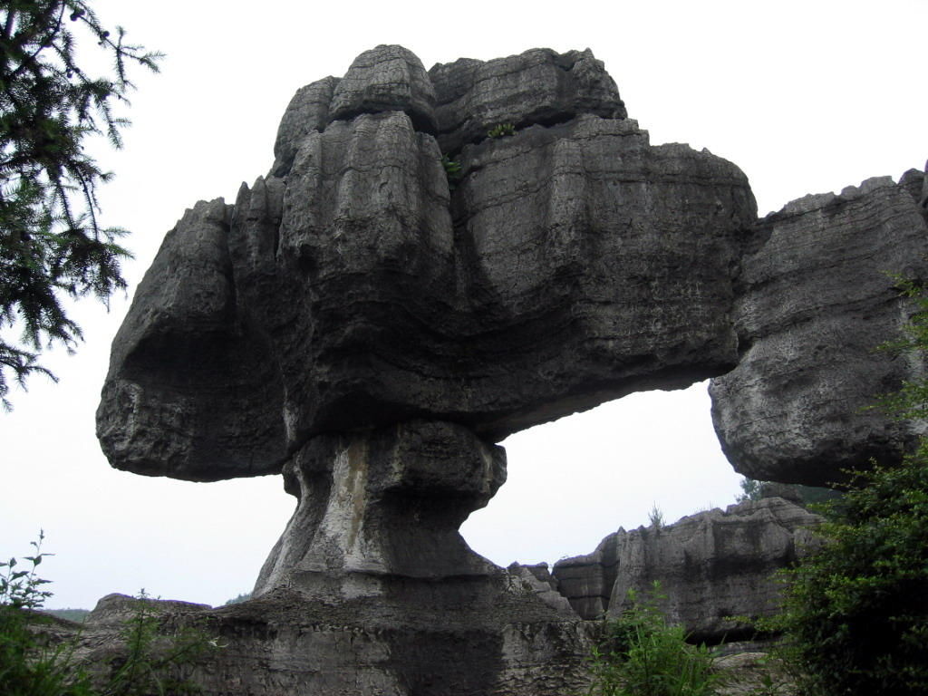 q690565677主播照片