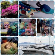 微信_2331745