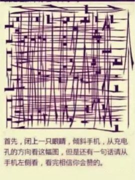 ：雄鹰∮展翅主播照片