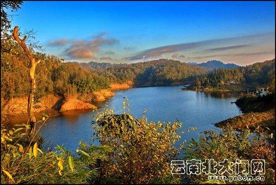 小清宝主播照片