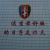 战狼利剑海报