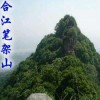 忘掉过去yq