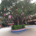 哎斯VS路飞