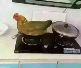ら解药ら为爱歌唱主播照片
