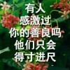 巴黎街头的黎明/海报