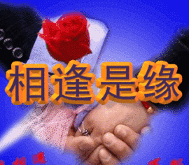 迷惘；潇洒哥~主播照片