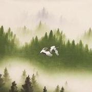 闲云野鹤戏红尘