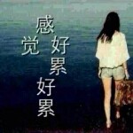 cxb怀念过去