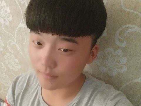 盛颜翰海报