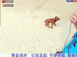 名字忘叫什么了主播照片