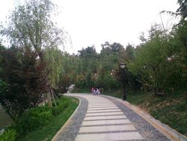 小金鱼鱼鱼鱼🐠主播照片