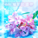 9527豪★情主播照片