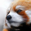 轨迹㊣海报