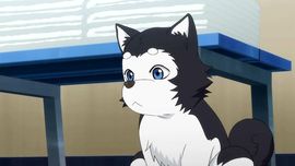 ヾ星儿。゛主播照片
