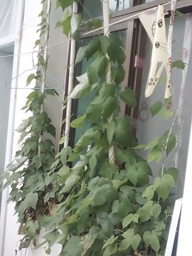 我好爱你你好满意主播照片