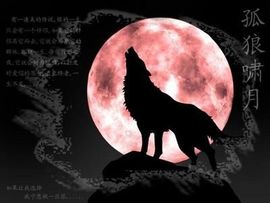 心⑥随②你⑨远⑨行主播照片