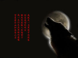 心⑥随②你⑨远⑨行主播照片