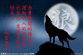 心⑥随②你⑨远⑨行主播照片