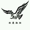 鹰唯爱你6