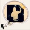 Mr、__Jessi