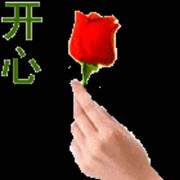 微信_6274916