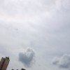 思恋是个烧饼