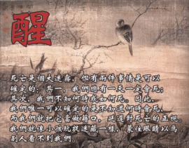9527豪★情主播照片