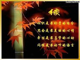 9527豪★情主播照片