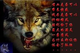 9527豪★情主播照片