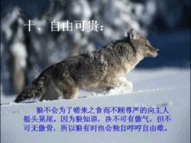 9527豪★情主播照片