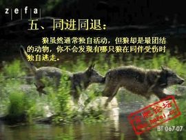 9527豪★情主播照片