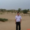 枫叶n8海报