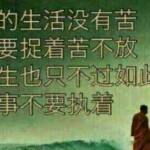 花未谢=情已了梦犹在