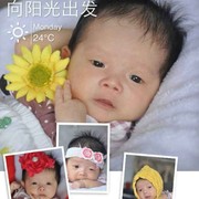 微信_自由飞翔