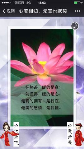 冰爷守护辰宝主播照片